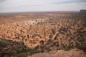 Savana vista dalla Falesia 