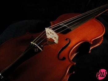 violino