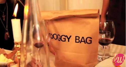 doggy-bag-500x269