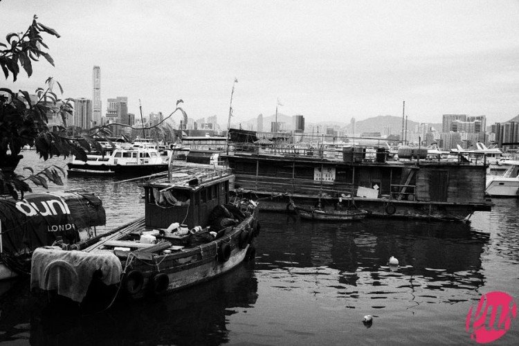 old-houseboats-and-working-boats-in-causeway-bay-typhoon-shelter-hong-kong-hksar-china-asia-joe-fox