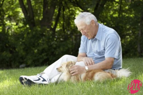 cane-compagnia-per-anziano
