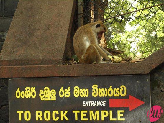 rock-temple