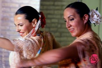 flamenco mirabras roma1g