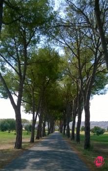 viale