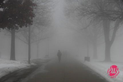 fog-04