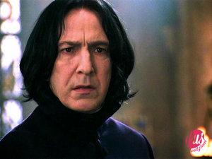 300px-Severus_snape