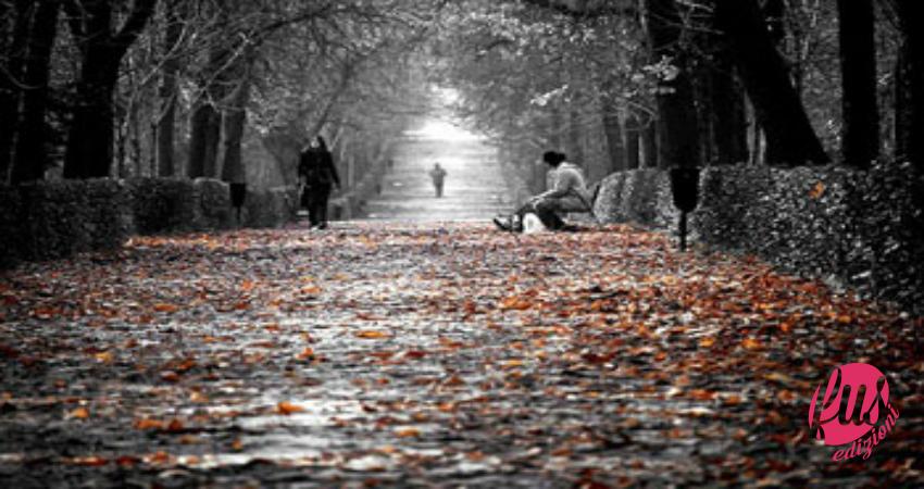 Viale alberato in inverno