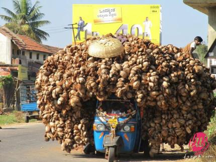 Tuktuk