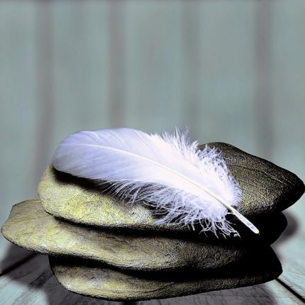 feather-1359097_640