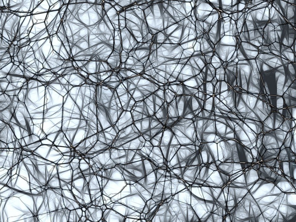 neuroni2