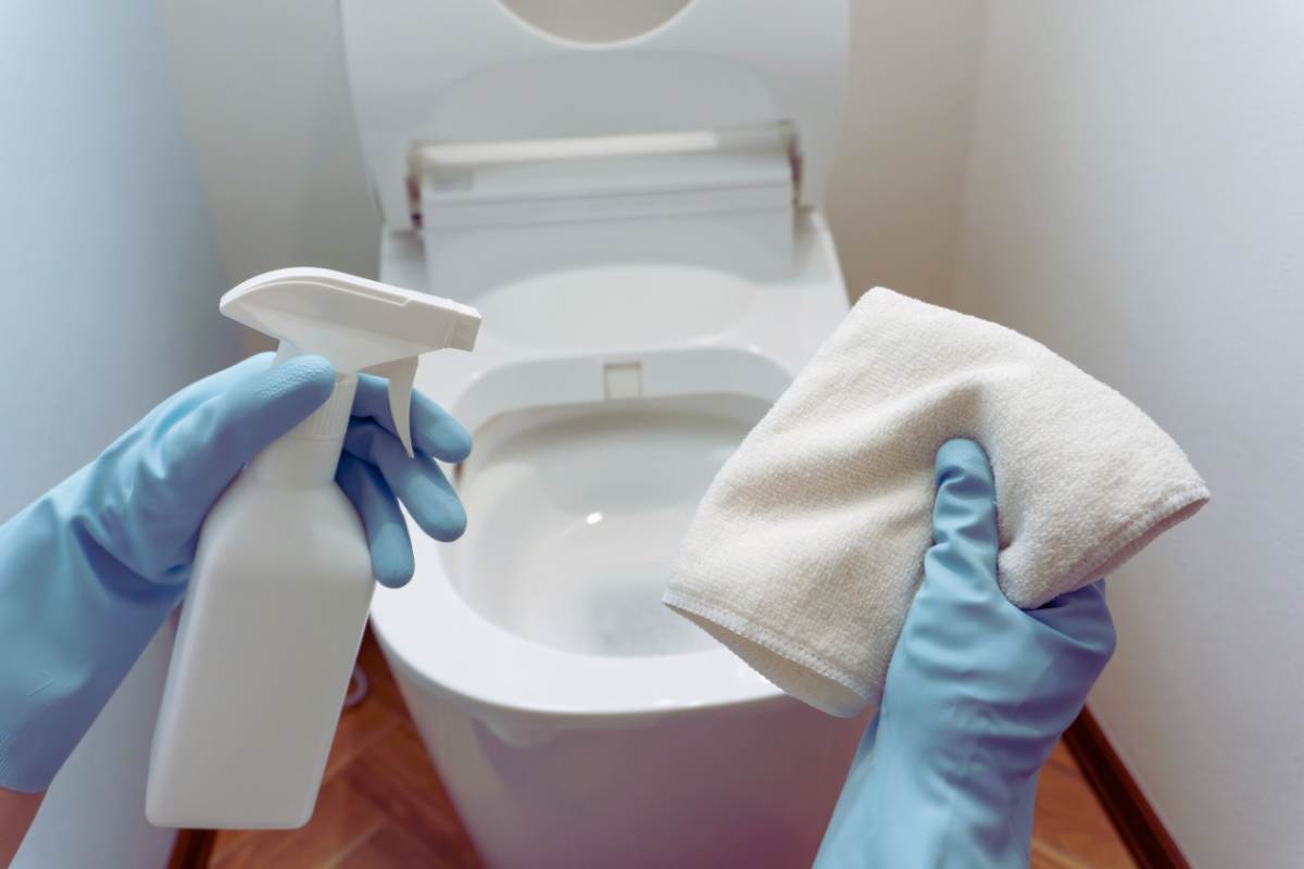 Macchie di calcare nel WC, come pulirlo senza prodotti aggressivi