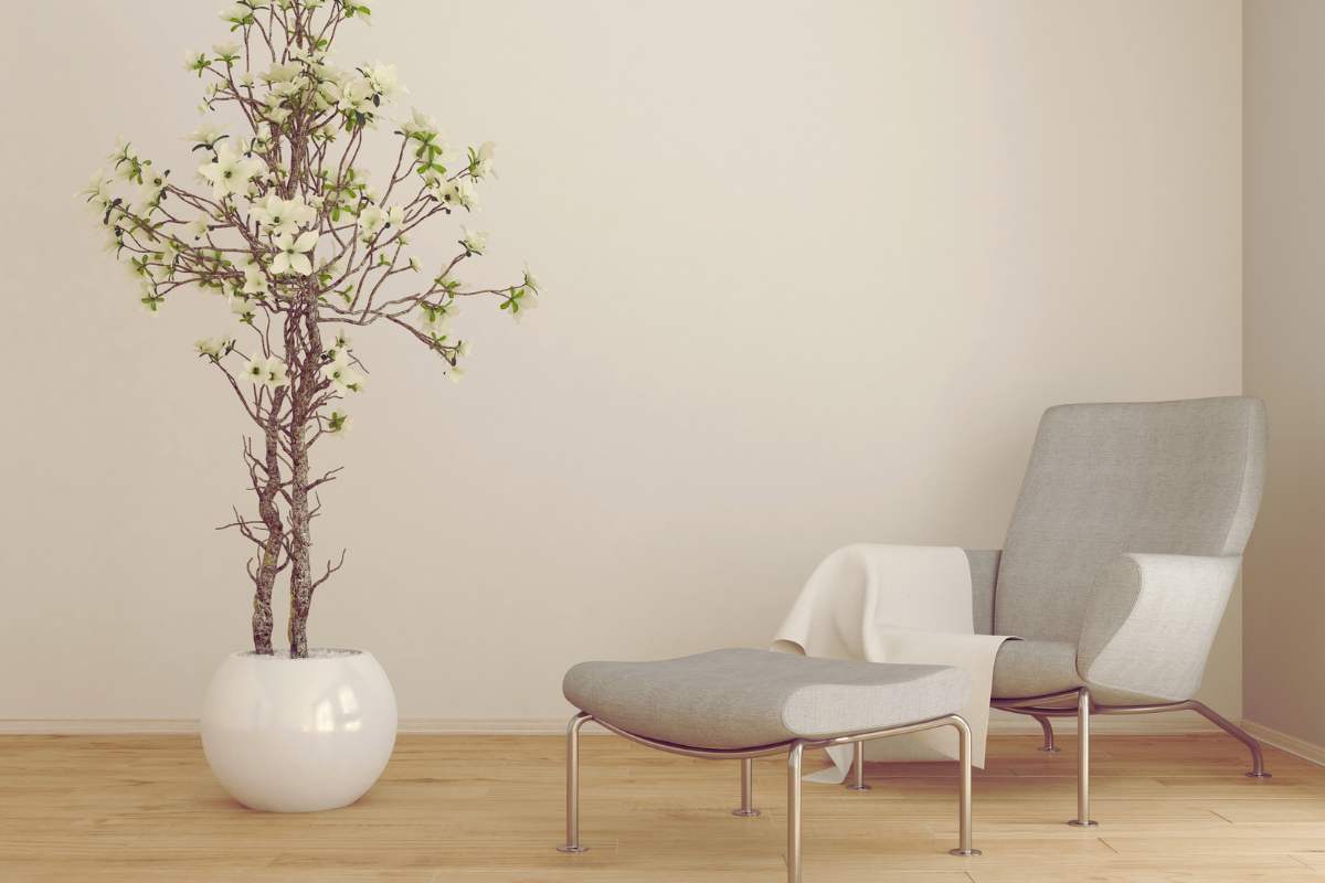 gli aloni dei vasi spariscono con un ingrediente che hai già in dispensa