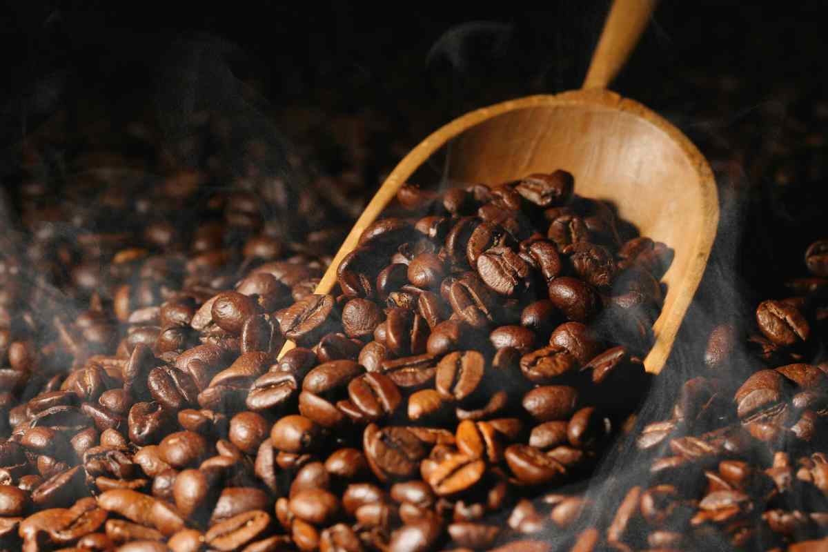 Perché dovresti mettere una ciotola di chicchi di caffè nel forno